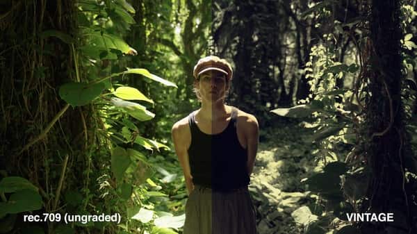 Danny Gevirtz – Creative Filmmaking Luts (Any Camera)