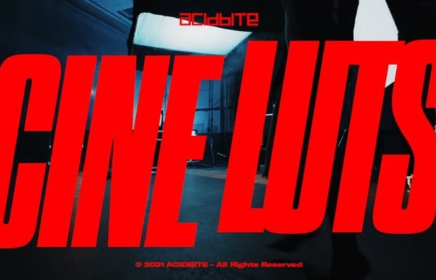 ACIDBITE – CINE LUTS