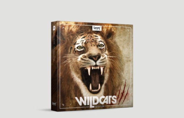 Boom Library – Wildcats: Tigers & Lions