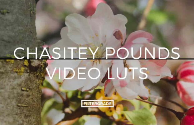 FilterGrade – Chasitey Pounds Video LUTs