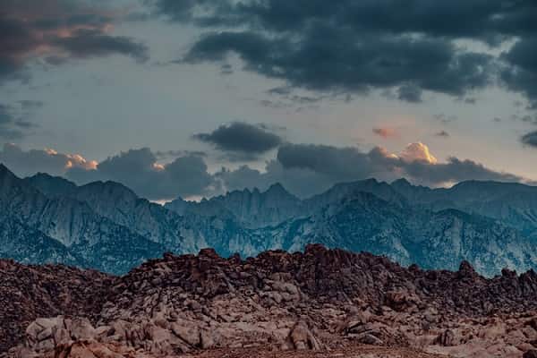 ARNIE WATKINS – AW LUT’S Collection