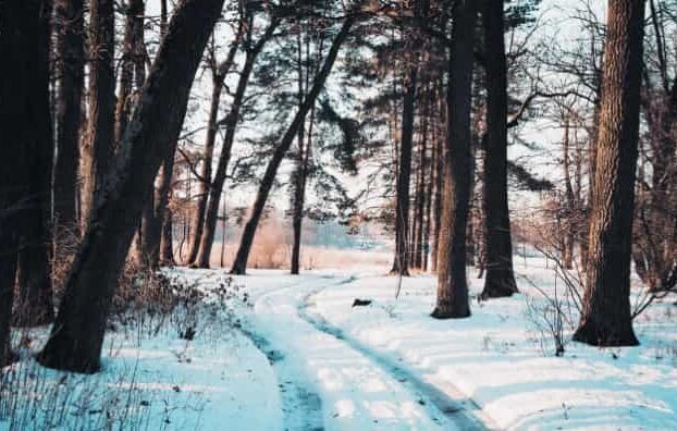 Original Master Pack – CINECOLOR