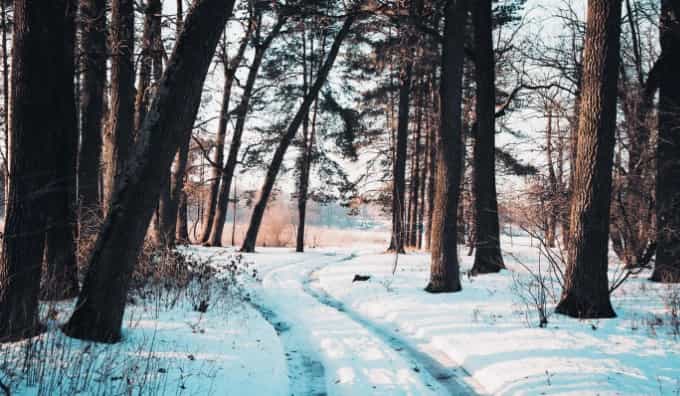 Original Master Pack – CINECOLOR