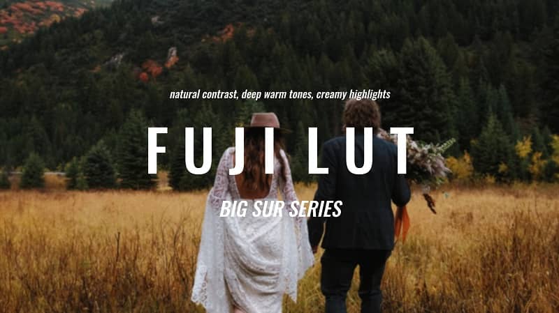 John Stambaugh – FUJIFILM LUT F-log