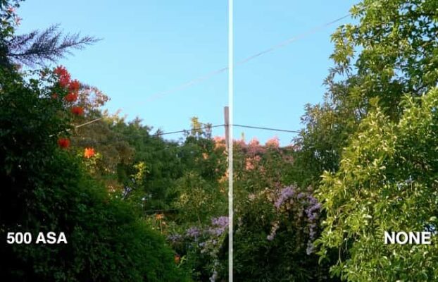 Rocket Rooster Film Grain – Sellfy