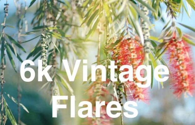 Rocket Rooster – Vintage Flares – Gumroad