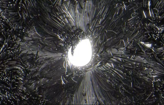 Black Elegance Logo Intro