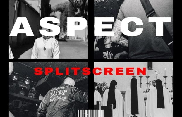 Moonbear – ASPECT Split-Screen Frames