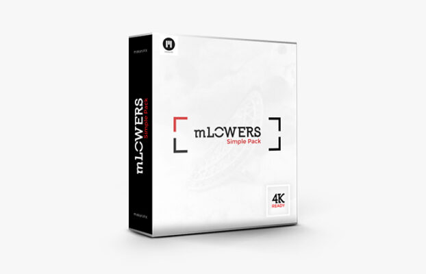 MotionVFX – mLowers Simple Pack