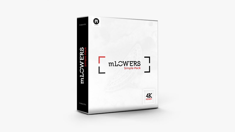 MotionVFX – mLowers Simple Pack