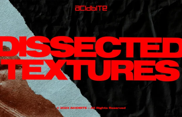 ACIDBITE – Dissected Textures