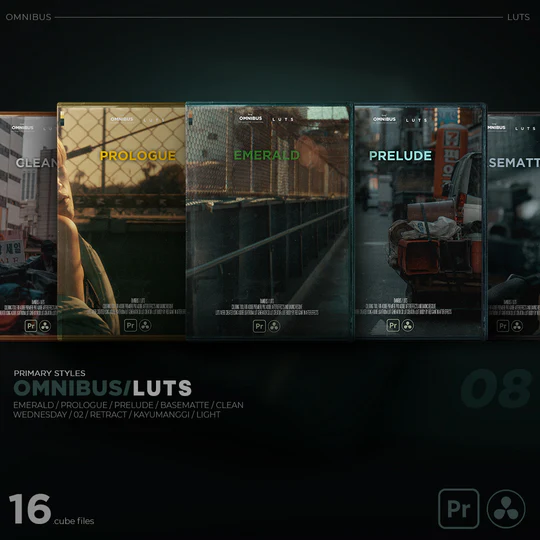 benj™ – Omnibus LUTS