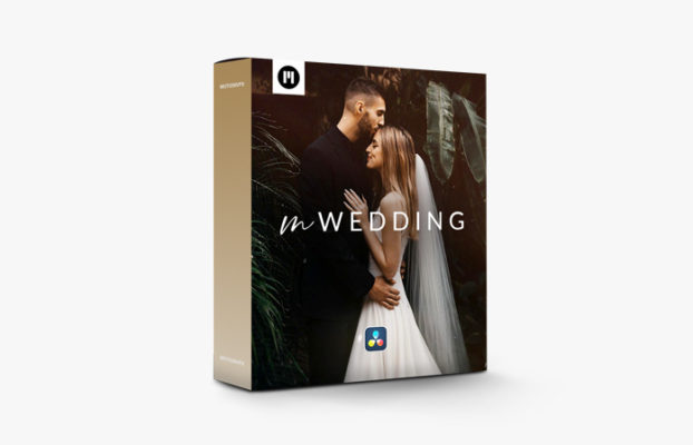 MotionVFX – mWedding DVR